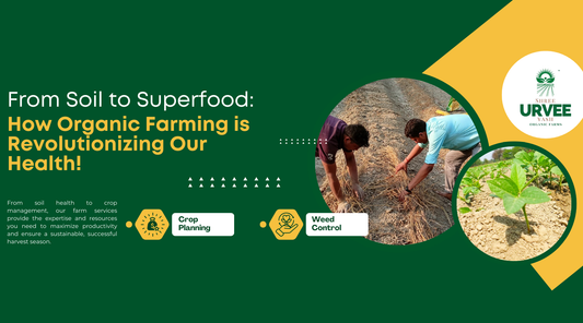 From Soil to Superfood: How Organic Farming is Revolutionizing Our Health!