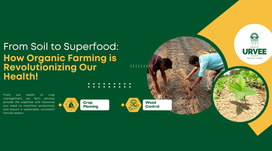 From Soil to Superfood: How Organic Farming is Revolutionizing Our Health! - Urvee Organic Farms