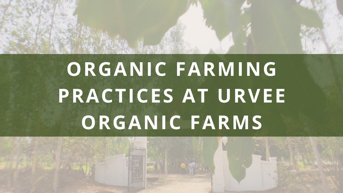 The Sustainable Way: Exploring Organic Farming Practices at Urvee Organic Farms - Urvee Organic Farms