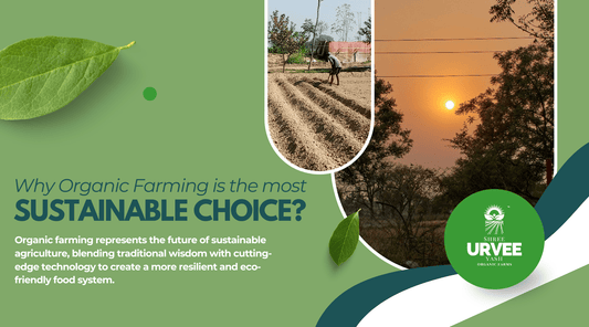 Why Organic Farming is the Most Sustainable Choice - Urvee Organic Farms
