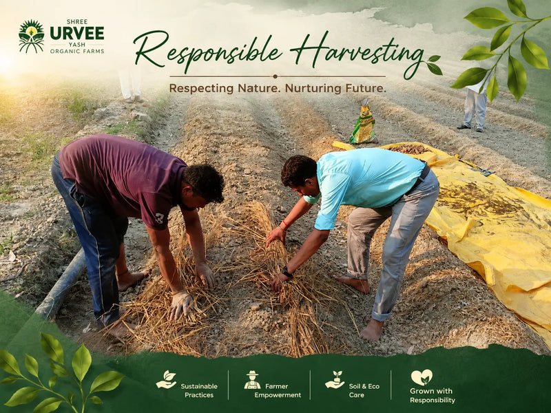 Responsible Harvesting