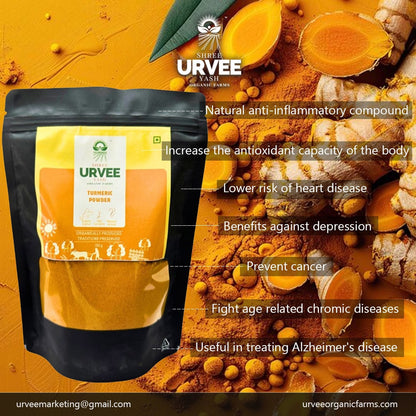 Turmeric Powder - Organic, Ground, and Aromatic