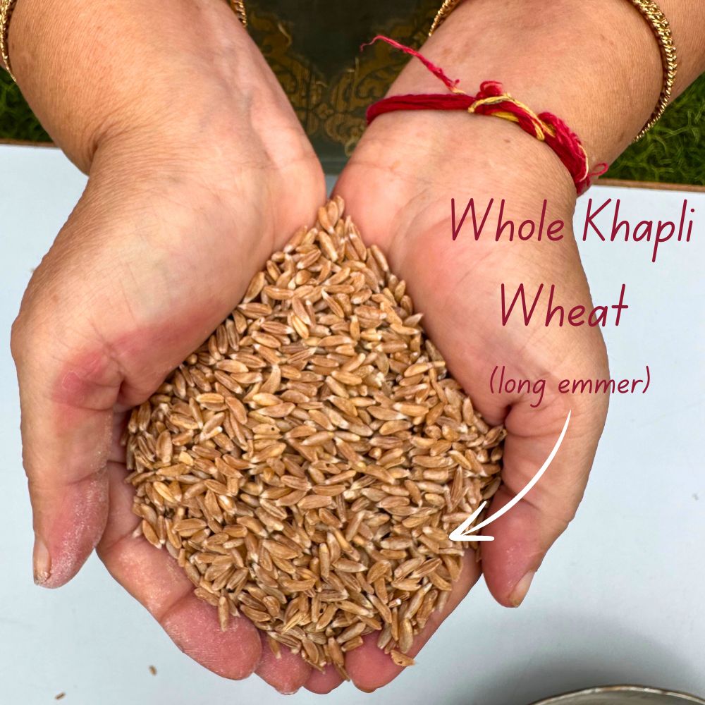 Khapli Emmer Wheat Flour: The Ancient Superfood for Modern Wellness - Urvee Organic Farms