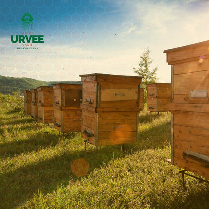 Multifloral Honey - Urvee Organic Farms