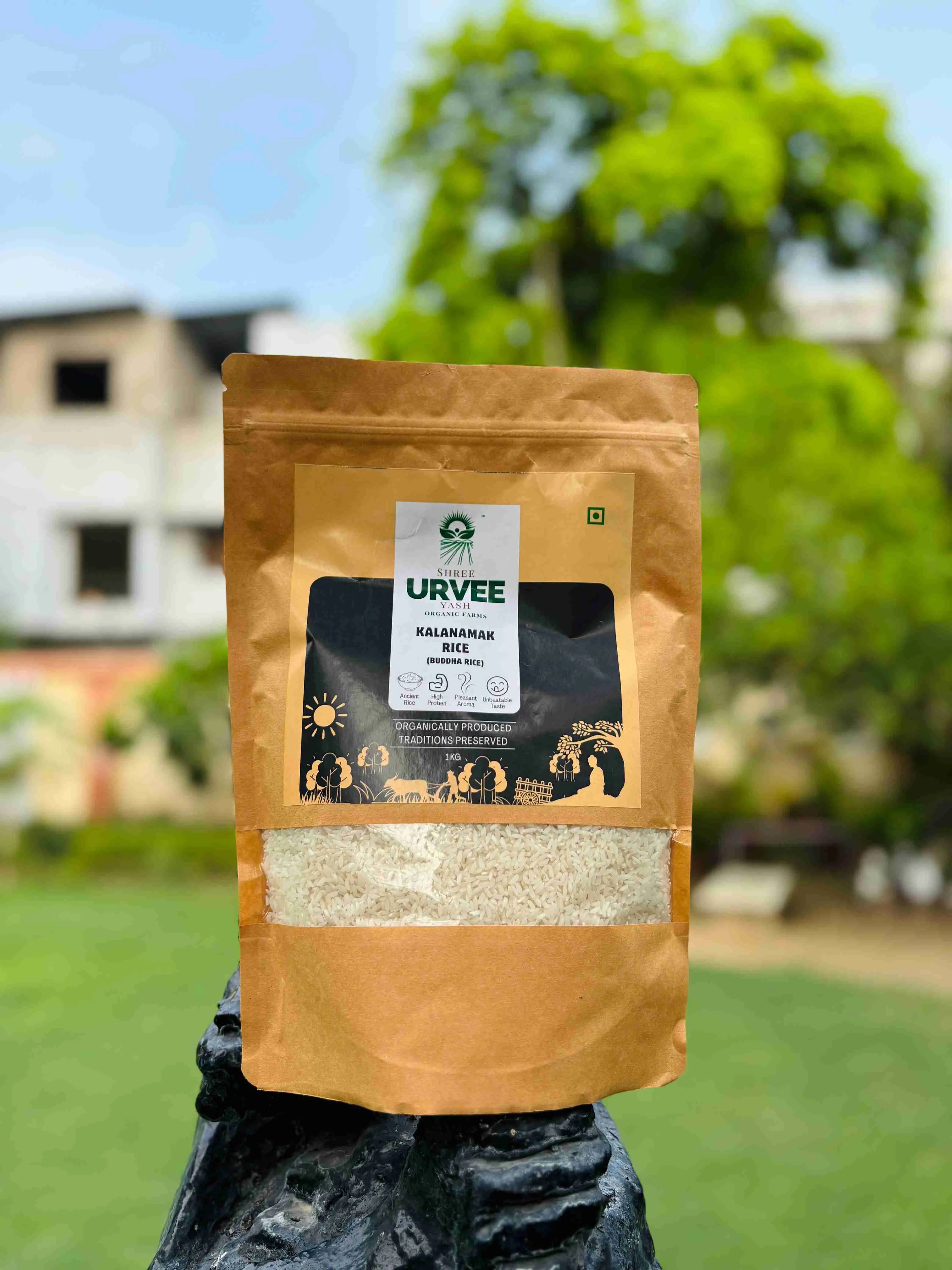 Kala Namak (Buddha) Rice – Urvee Organic Farms