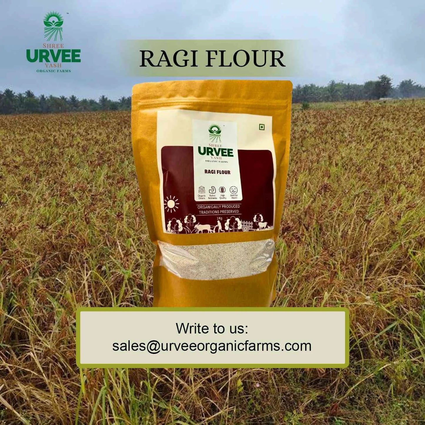 Finger Millet (Ragi) Flour